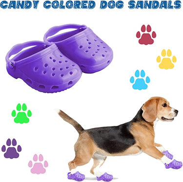2022 Dog Crocs for Small Dogs PeekWise